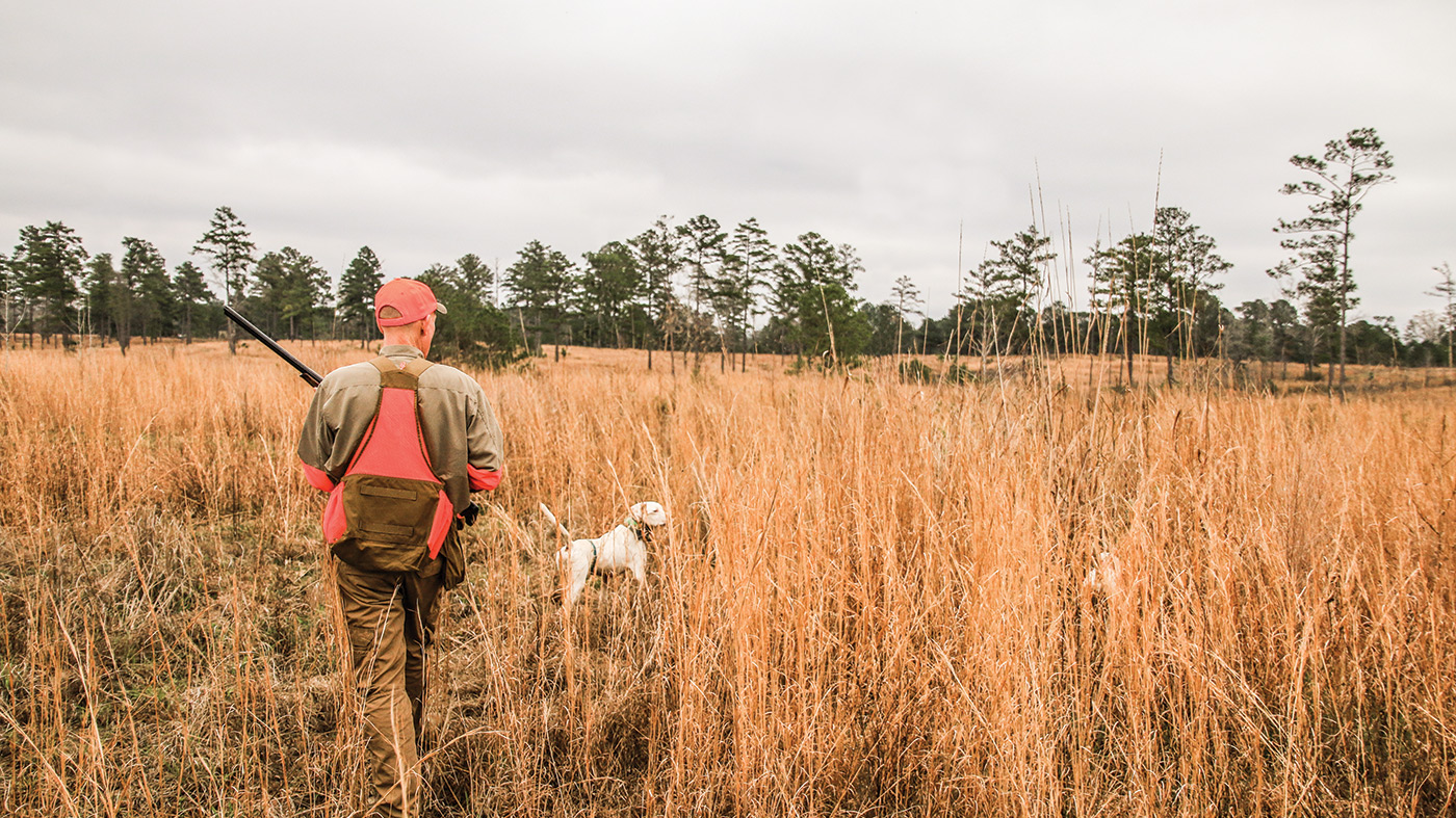 Best boots clearance for pheasant hunting